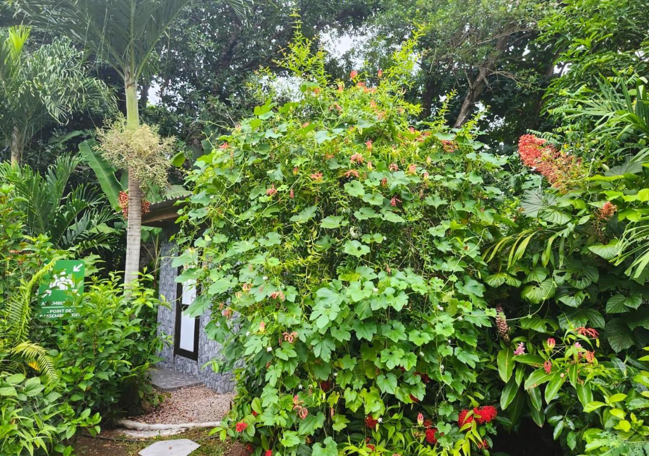 Buisson Guesthouse La Digue Exterior foto
