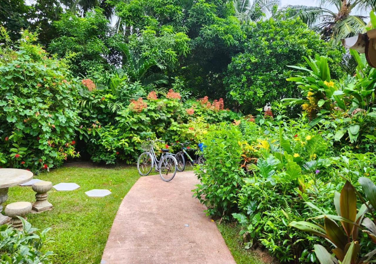 Buisson Guesthouse La Digue Exterior foto